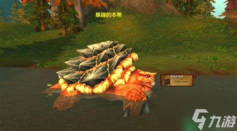 魔兽世界怀旧服龟壳在哪里刷_魔兽怀旧龟壳有什么用